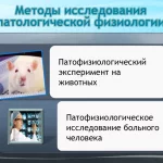 Иллюстрация №9: ВВЕДЕНИЕ В ПАТОФИЗИОЛОГИЮ (Презентации - Медицина).
